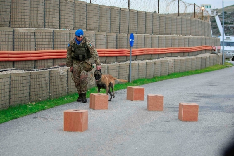 تمرين لاحد الكلاب المدربة على اكتشاف المتفجرات