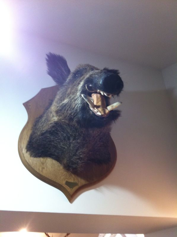 رحلة صيد طيور لبنانية -  فرنسية