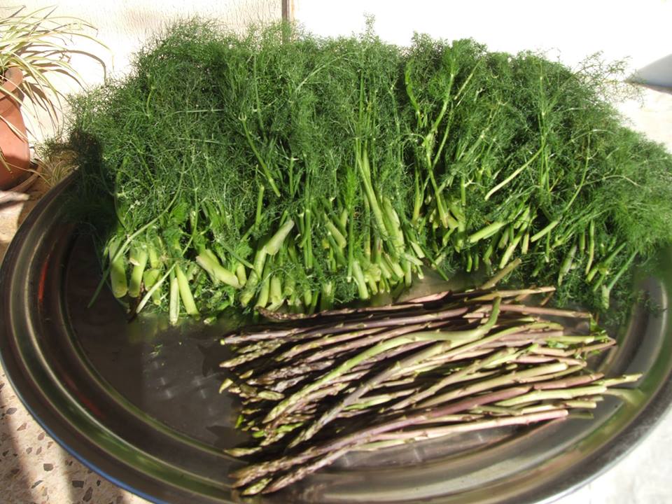 شومر وهليون