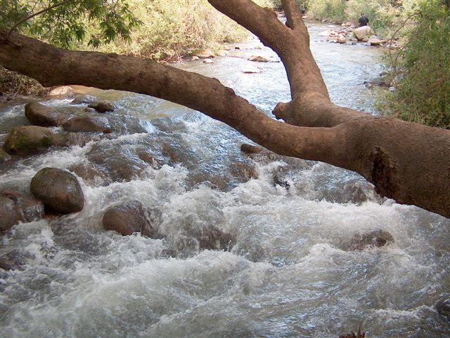 نهر الحاصباني