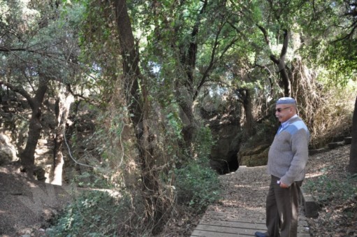 الكاتب فواز حسين