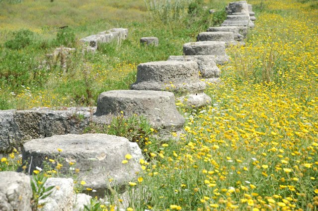 بقايا أعمدة تنتظر الاهتمام بها