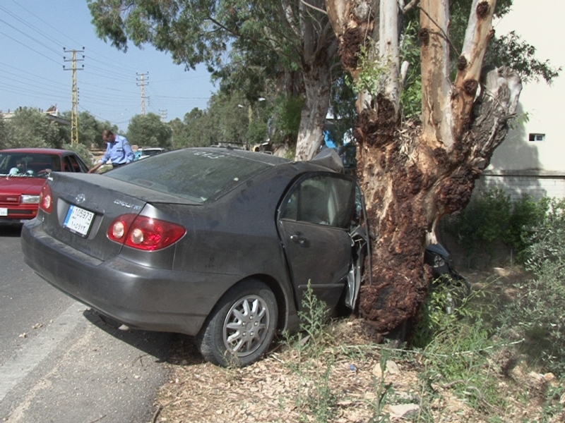السيارة لدى ارتطامها بشجرة الكينا