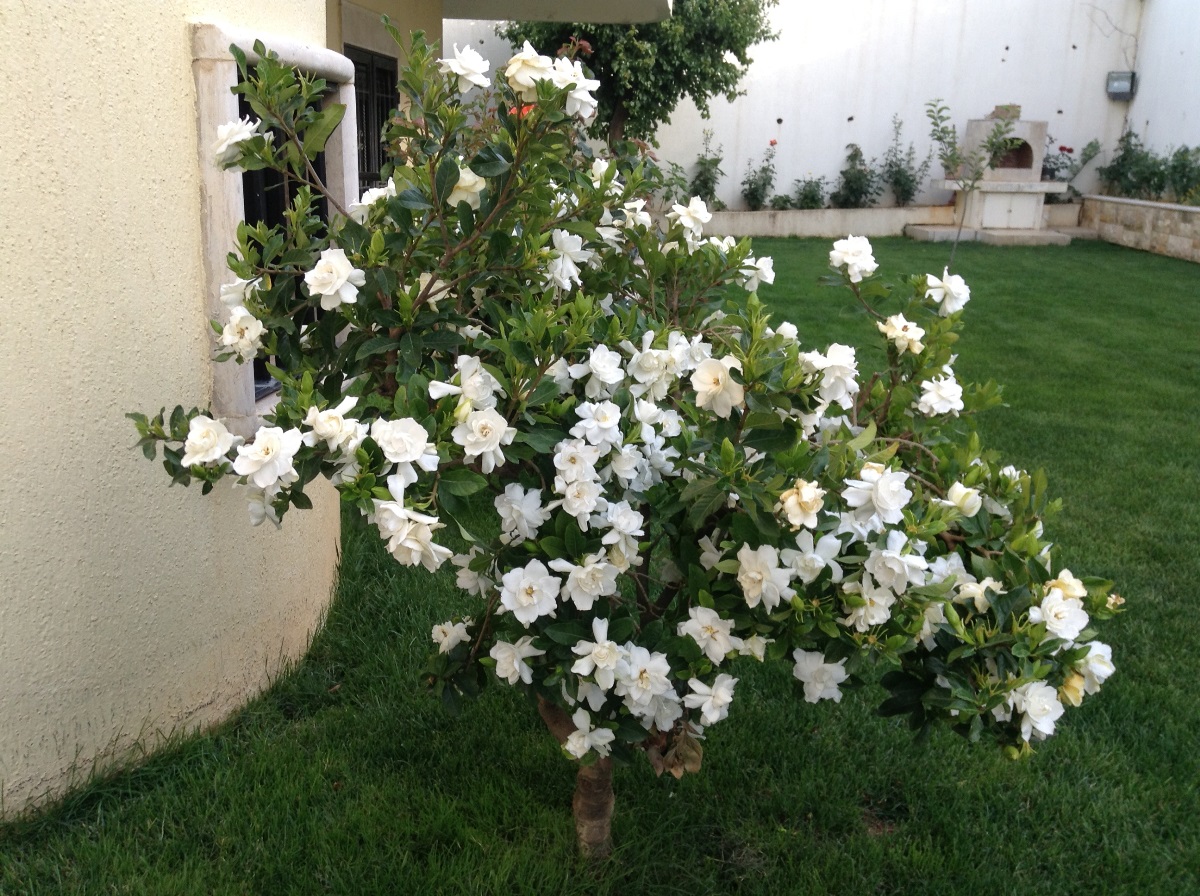 منزل تريبلكس رائع، ذات إطلالات جميلة، معروض للبيع في الخيام