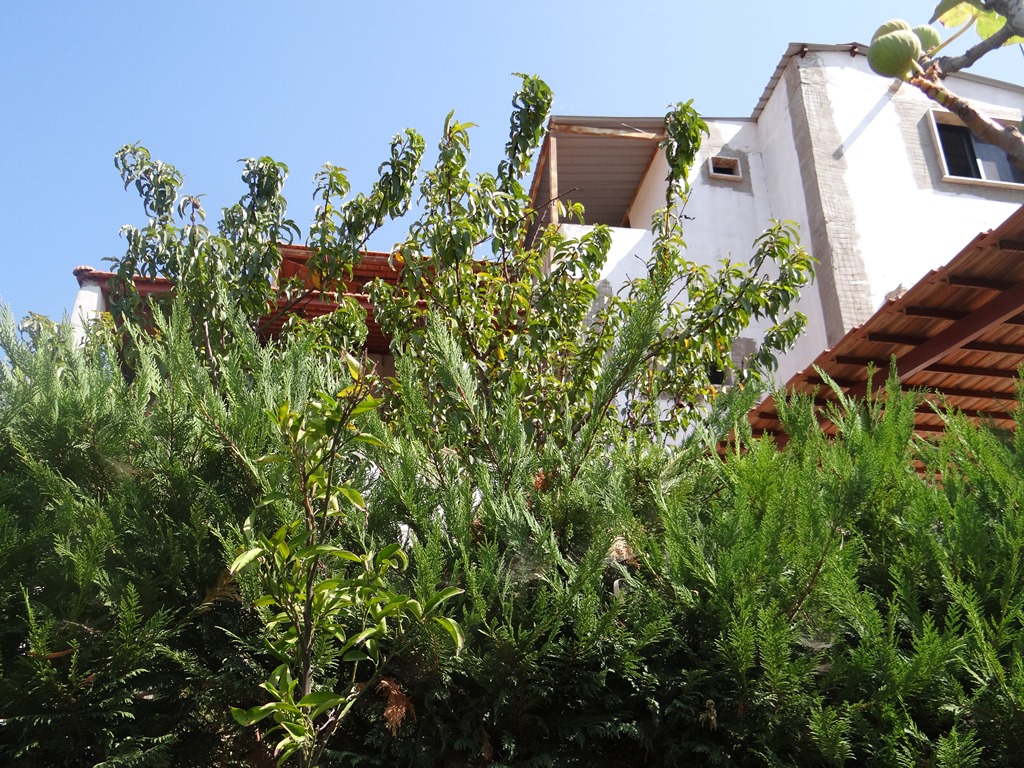 عقار، في موقع رائع، يحتوي على منزل تريبلكس، ذات اطلالات جميلة معروض للبيع في الخيام