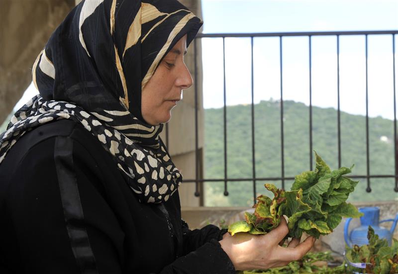 في عيتا الشعب.. عين على التبغ وعين على الحدود (علي لمع)