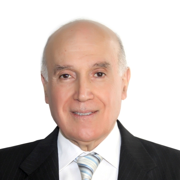 رئيس مؤسسة عامل الدولية والمنسق العام لتجمع الهيئات الاهلية التطوعية في لبنان، الدكتور كامل مهنا