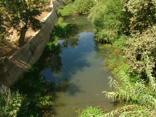 يقوم البعض في ليلة ظلماء برمي وتفريغ مياه آسنة وصرف صحي ويلوث ما تبقى من مياه في نهر الحاصباني على بعد كيلومتر من نبعه