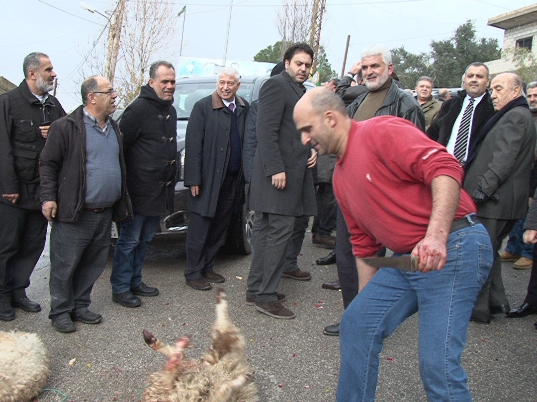 وينحرون له الخراف في بلدة بلاط