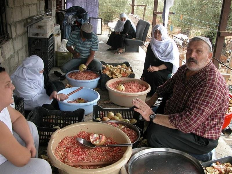 أبو حسام رفيق الحرفوش خلال تحضير دبس الرمان (طارق أبو حمدان)