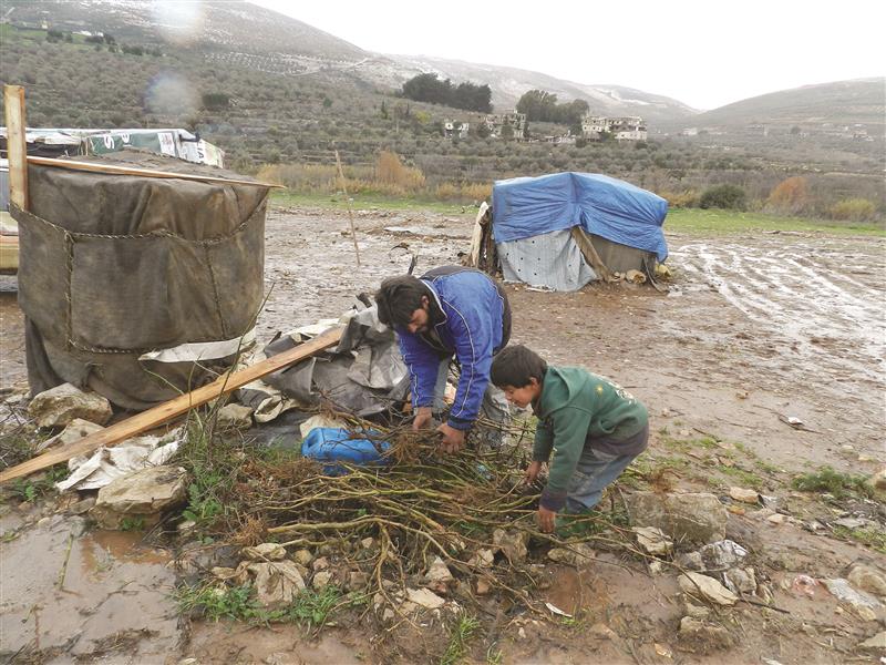 نازح يجمع الحطب مع طفله (طارق أبو حمدان)