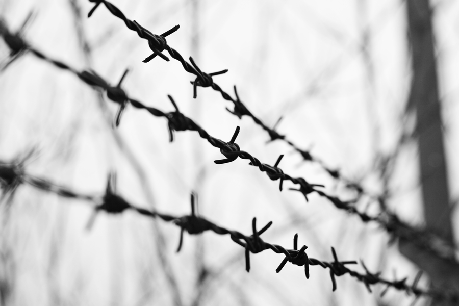 اصبحنا نقيس الاعوام التى تدل علي اعمارنا بكم الزمن الذي غدر بنا واقام اسلاك شائكة ما بيننا وبين الرجوع