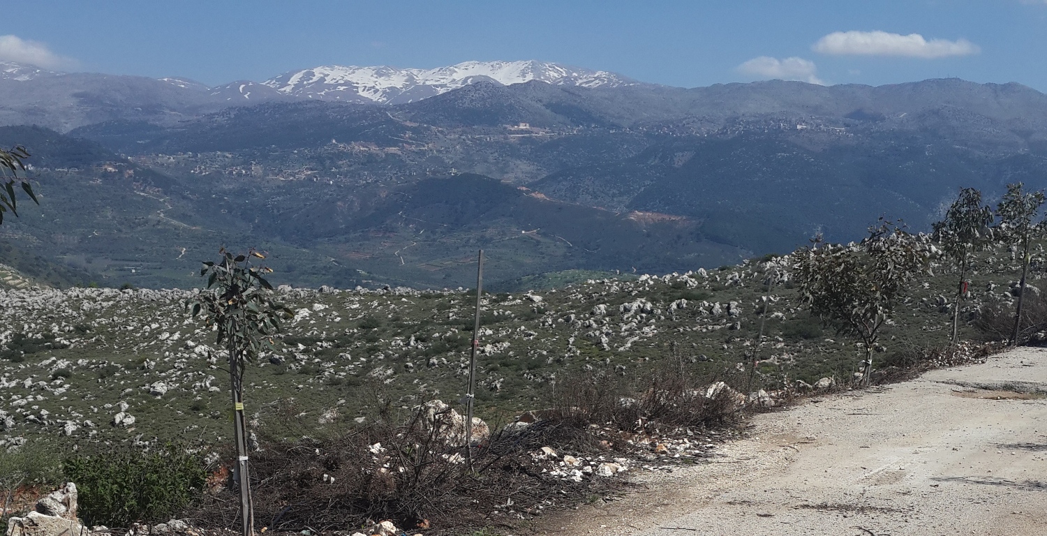 معروض للبيع في الخيام، عقار مفرز بمساحة 1700 متر مربع. كافة  البنى التحتية مؤمنة: طريق معبدة، كهرباء، شبكتي هاتف ومياه شفة.