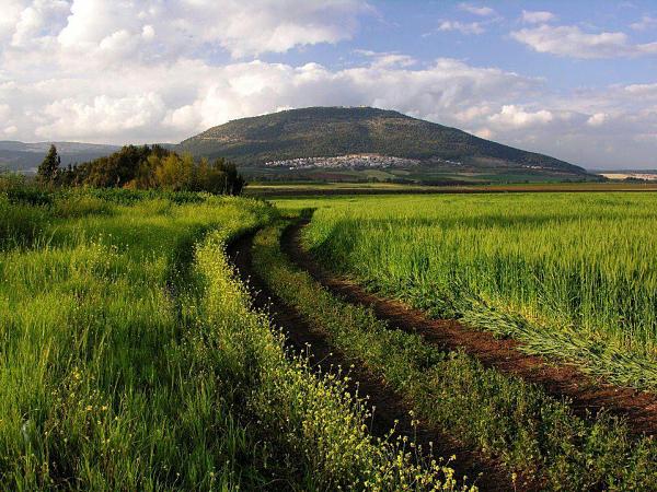 جبل الجرمق هو أعلى جبال فلسطين، يقع شمالي غربي صفد، حيث يبلغ ارتفاعه 1208 متر، وتكسوه الثلوج في فصل الشتاء،