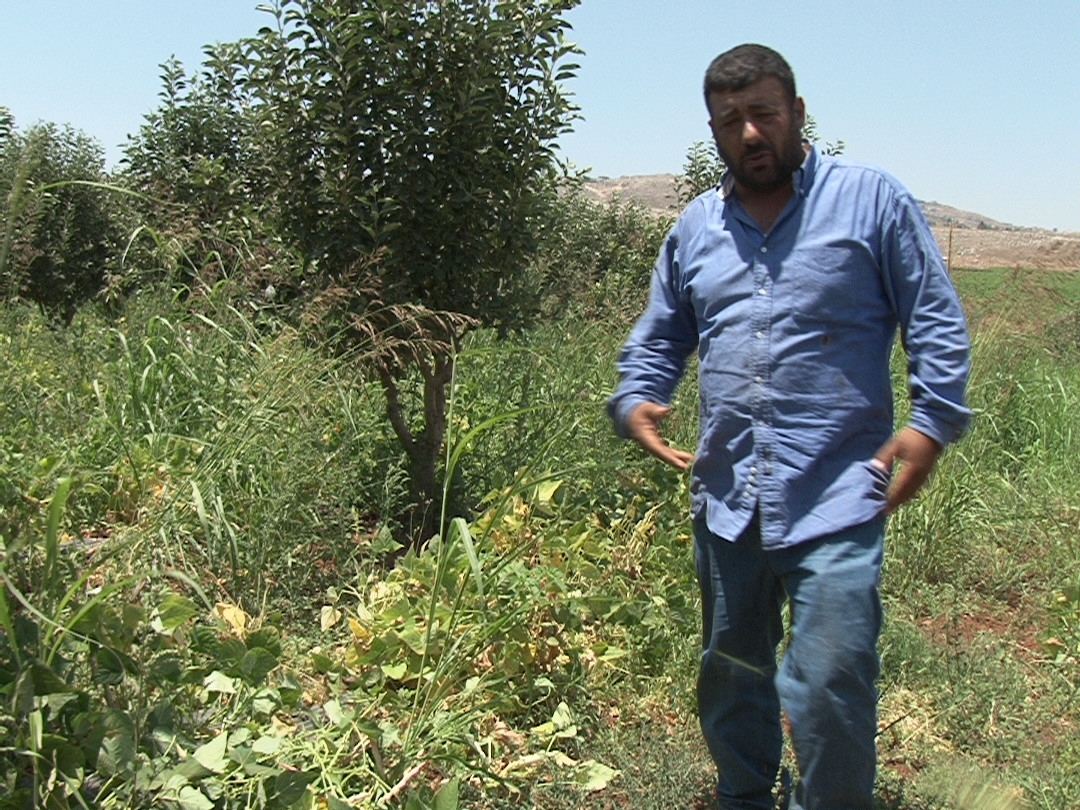 المزارع محمد شيت