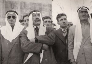 سلطان باشا الاطرش