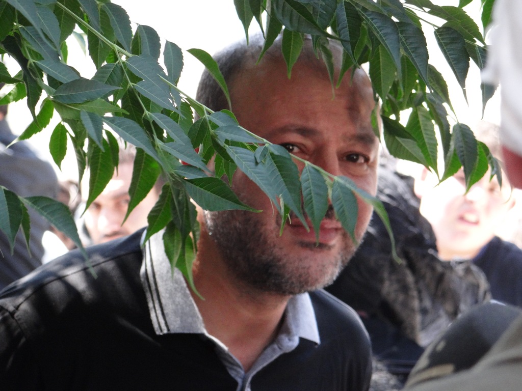 شجرة الزنزلخت شديدة الخضرة وارفة الظلال ذات منافع طبية وبيئية. لقطة من الأرشيف للدكتور علي حمادة يستظل بفيئ أغصان شجرة زنزلخت