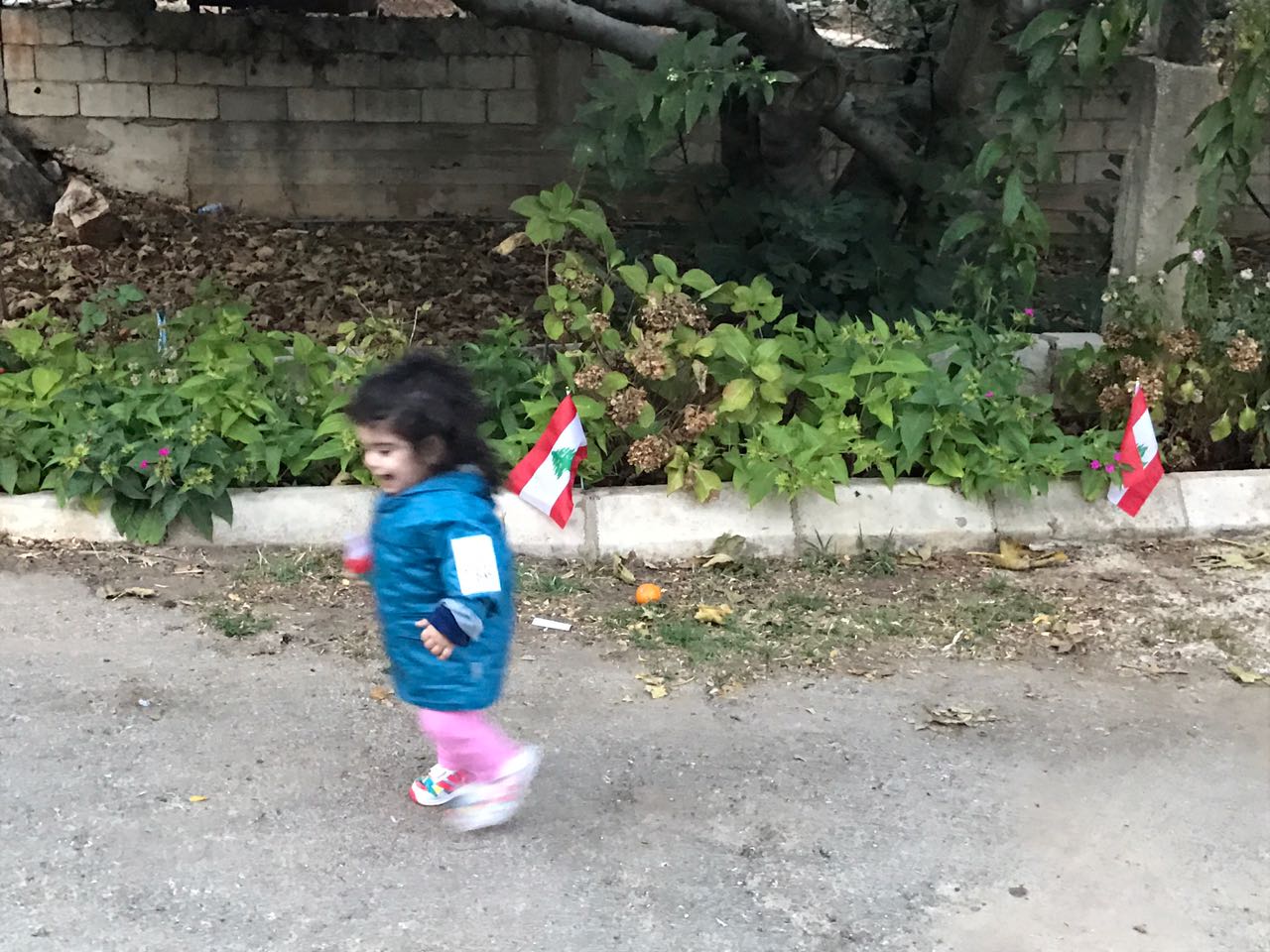 هكذا احتفلت عائلة الاستاذ حسين خريس  وأحفاده في عيد الاستقلال