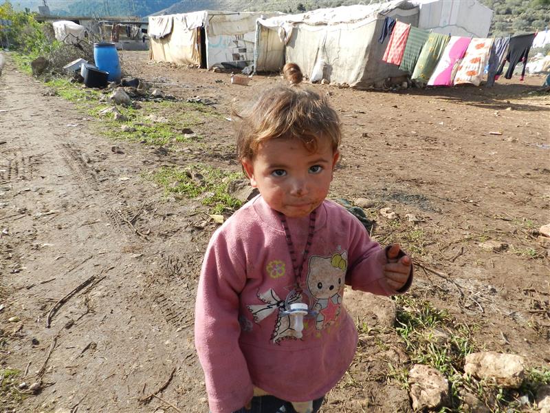 مختصر لمعاناة النازحين (طارق أبو حمدان)