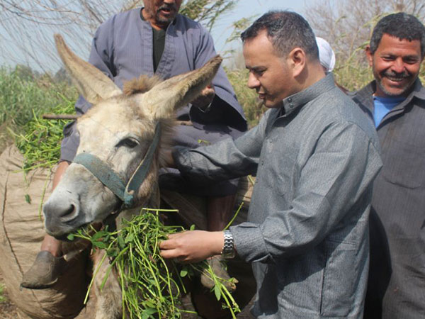 يلي عندو حمار بدو يخدمو