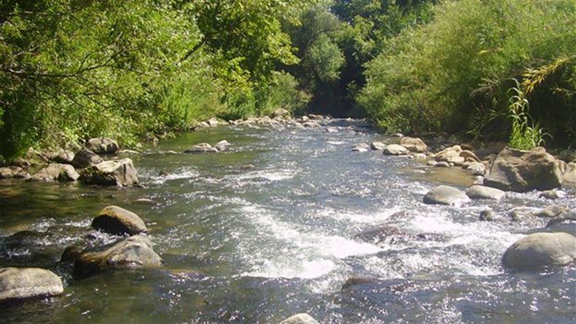 نهر الوزاني.. مهما ارتعدت أو انحنيت ستظلُ على متنِ  صخرتك تبحث عن مقر