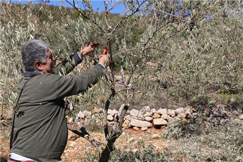 شيل عني وخود جنى منّي