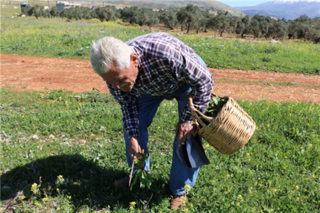 المختار السابق في راشيا الفخار- في العرقوب أبو طلال، جريس خليل..عمر مع «السليقا» 