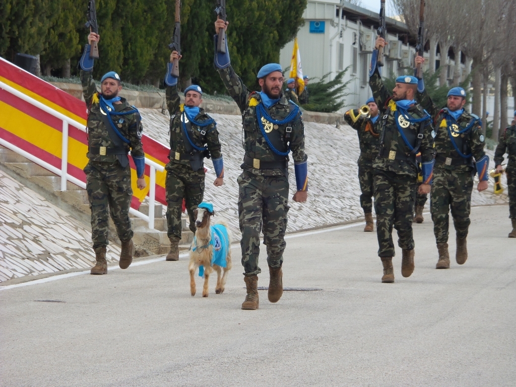 العنزة جولي من فرقة الليخيون  سارت في مقدمة العرض العسكري