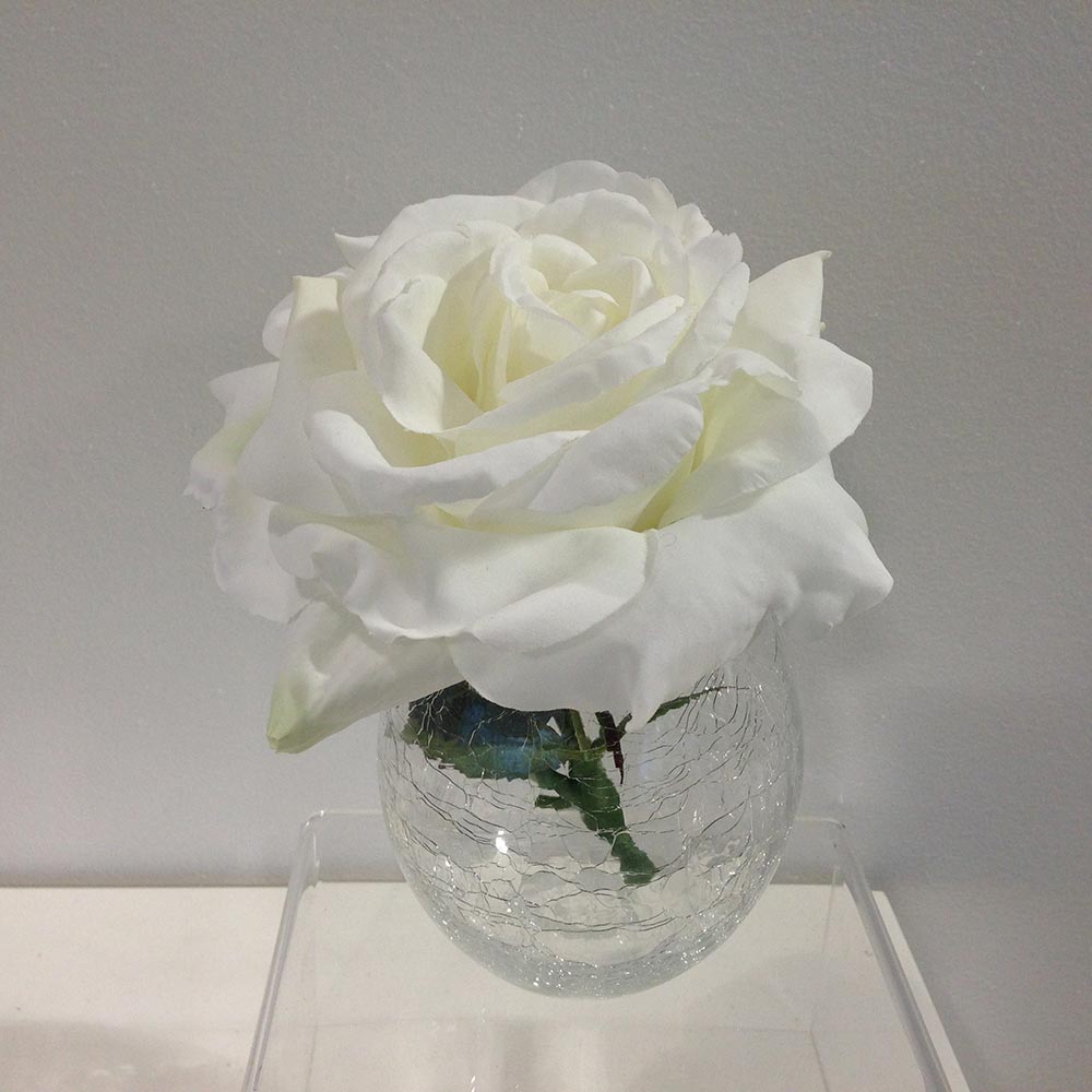 لعلّي اضع في مزهريتك وردة تشاطرك الحوار 