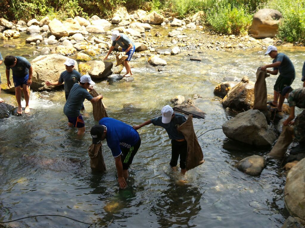 يعملون على تنظيف الوزالني- باسل أبو حمدان