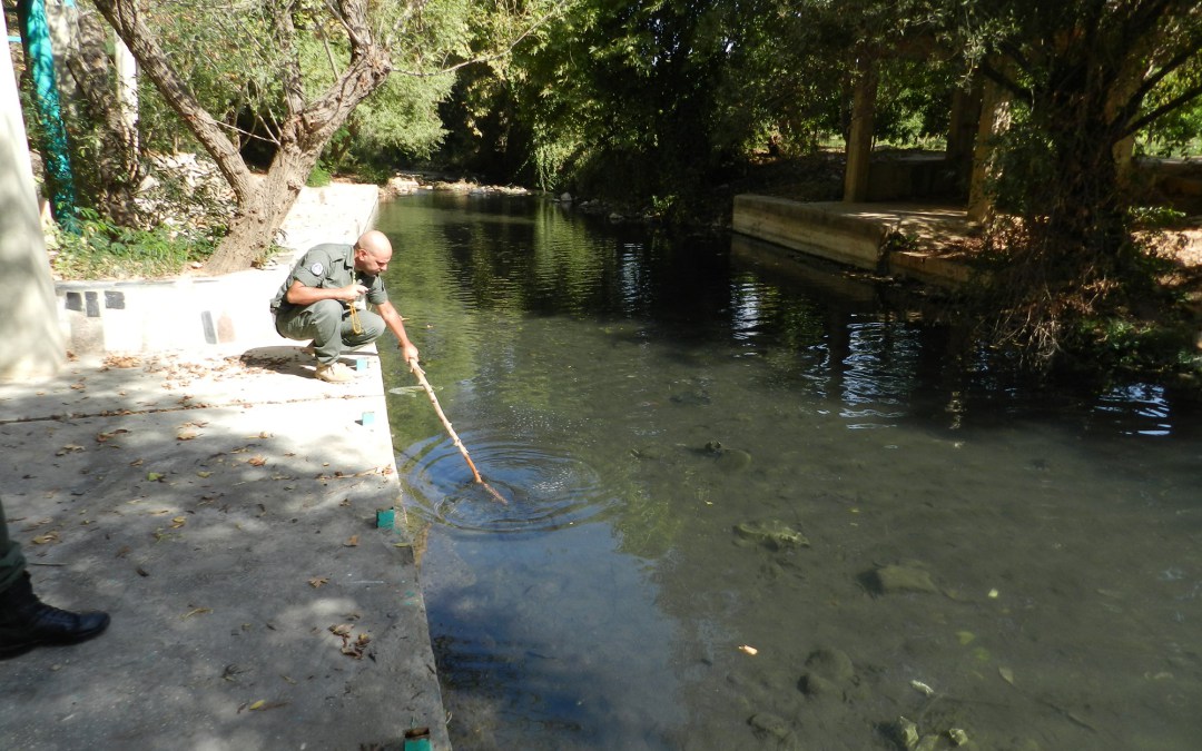 نفايات في الحاصباني