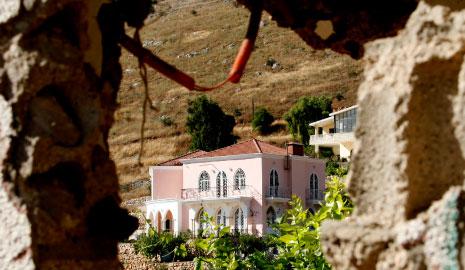  تكاد القصور تكون عبارة عن لوحات فنية مجمّدة (علي حشيشو)