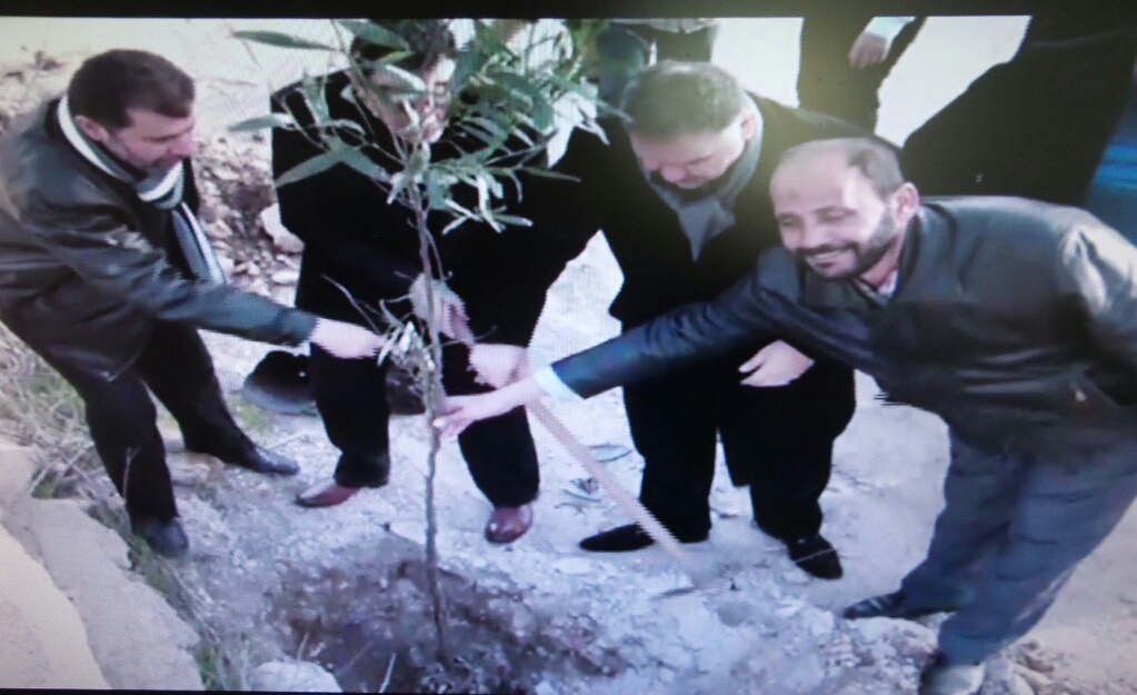 لنائب فياض مشاركا في حملة التشجير