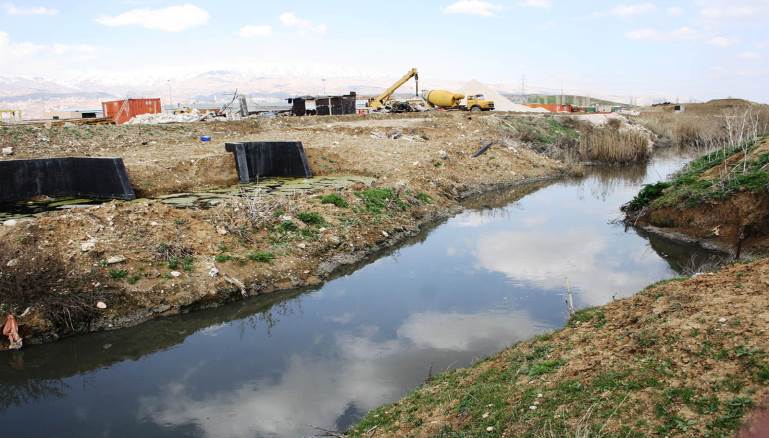 المنع لا يجوز أن يكون على معيار واحد لكل الزراعات (لوسي بارسخيان)