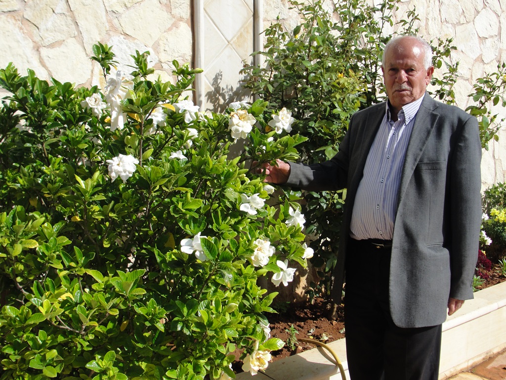 الحاج أبو محمود حسن باشا