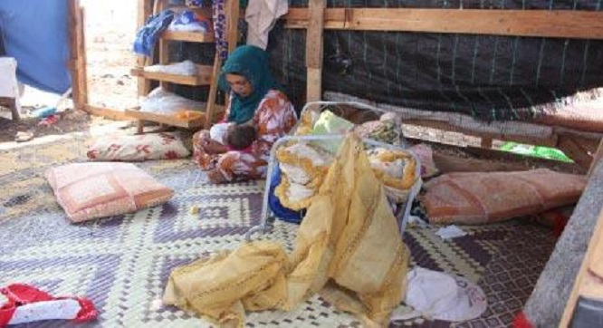 عكار: دجاجة النزوح لم تعد تبيض ذهباً! (نجلة حمود)