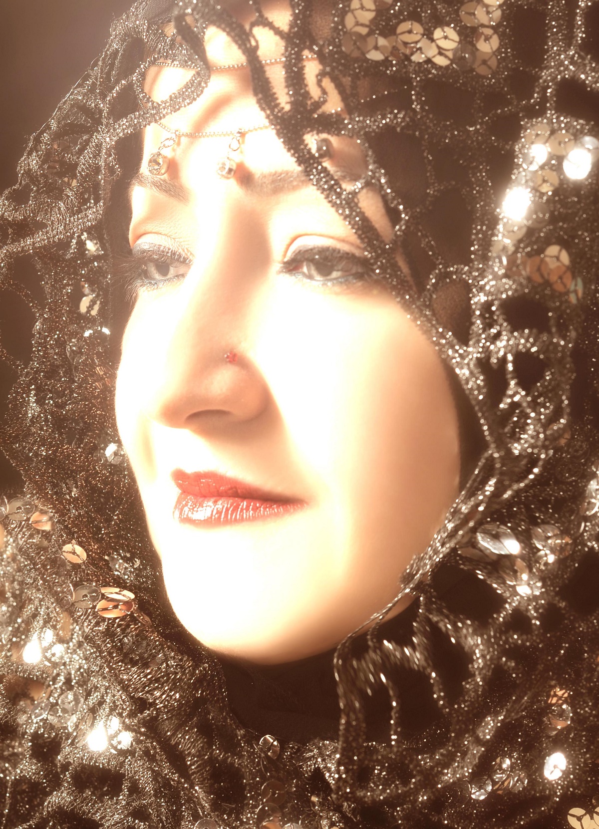 الأديبة د.سناء الشعلان