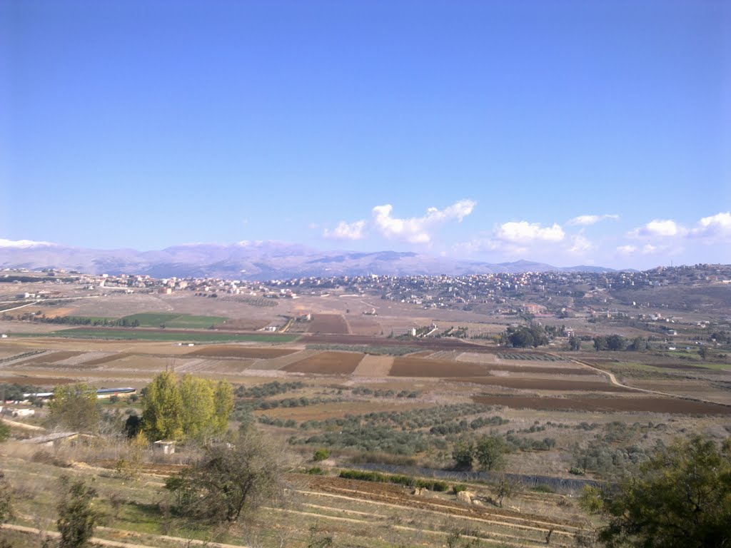 إذا إستمر الأمر على هذا المنوال سنترحم على المرج كمساحة خضراء