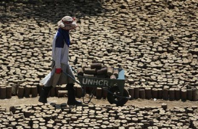 تصوير علي حشيشو