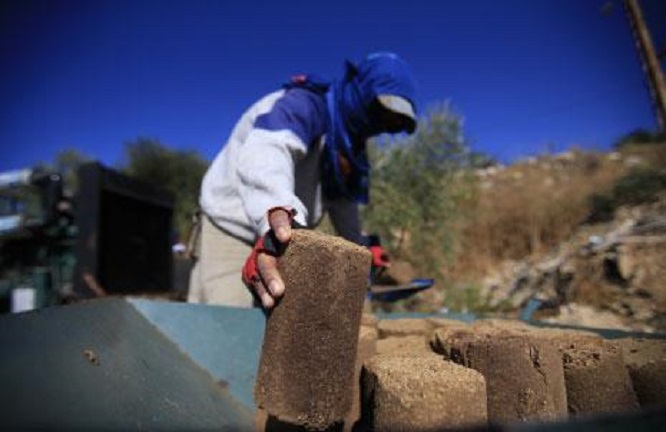 تصوير علي حشيشو