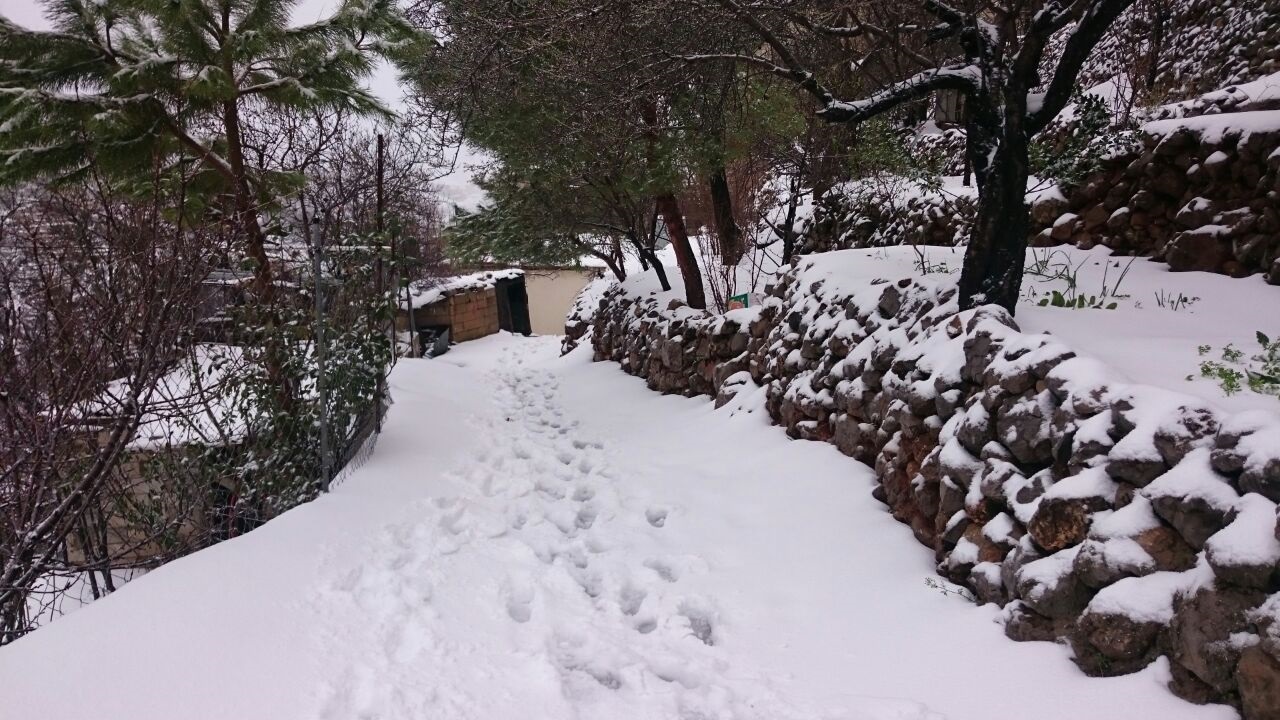 طقس عاصف ومثلج في قرى العرقوب  وجرافات الاشغال فتحت الطرقات