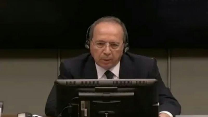 شهادة جميل السيّد في لاهاي