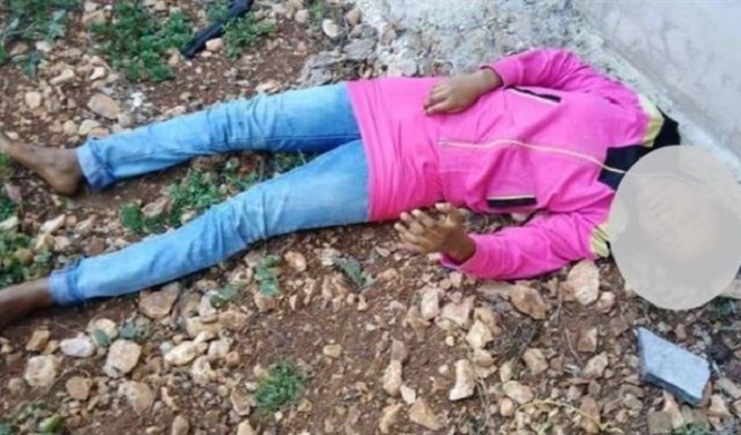 الضحية أماسا