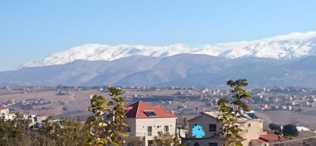 (رونيت ضاهر)