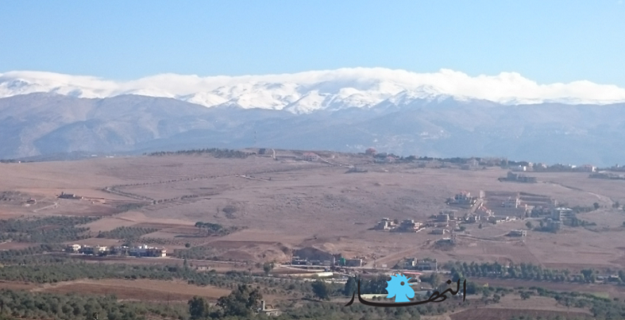 (رونيت ضاهر)