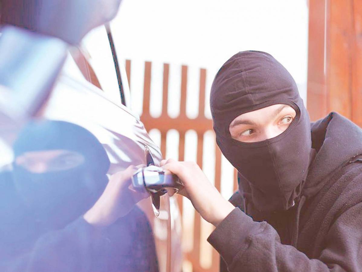 بين اللصوص نساء