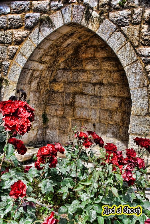 ما في ورد بيطلب مي الورد بيبقى سكوت