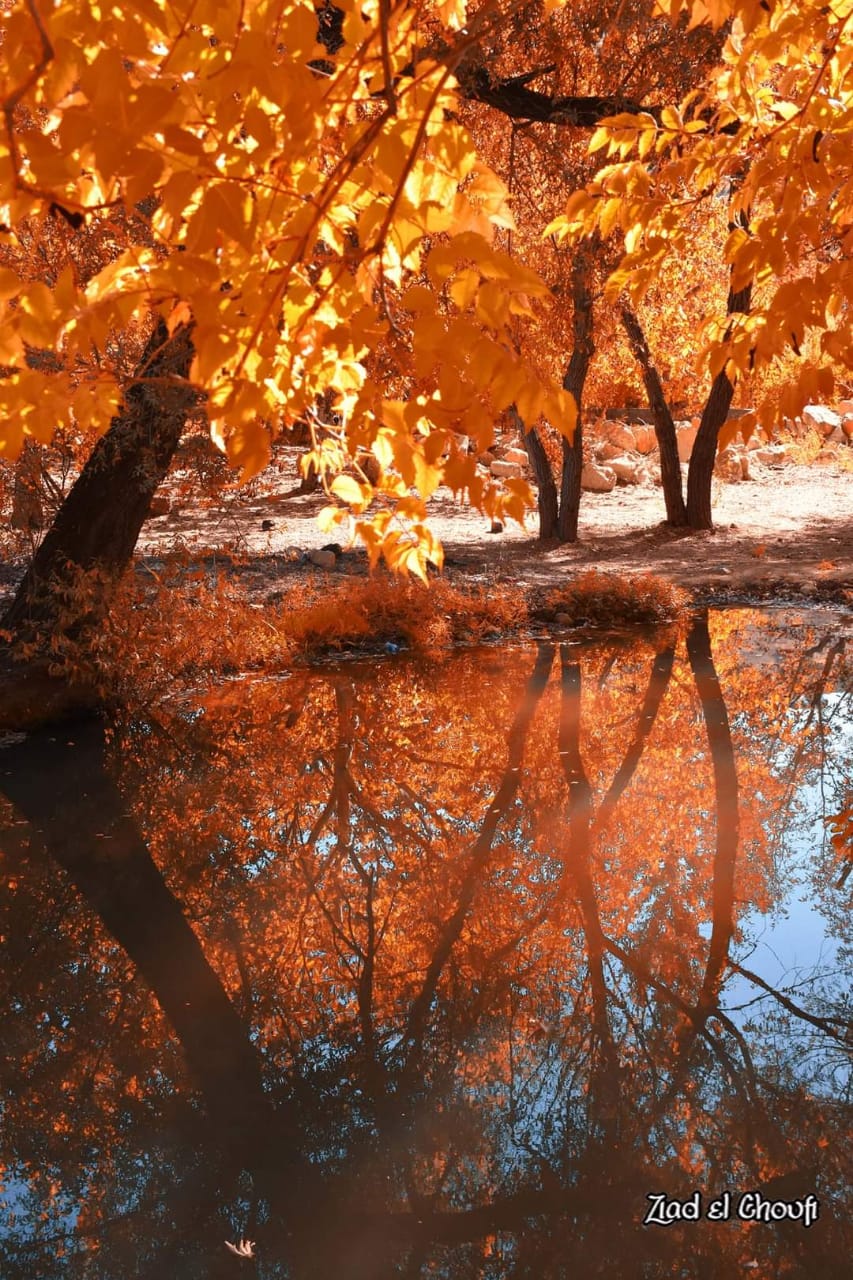 الخريف والوانو المجنونة