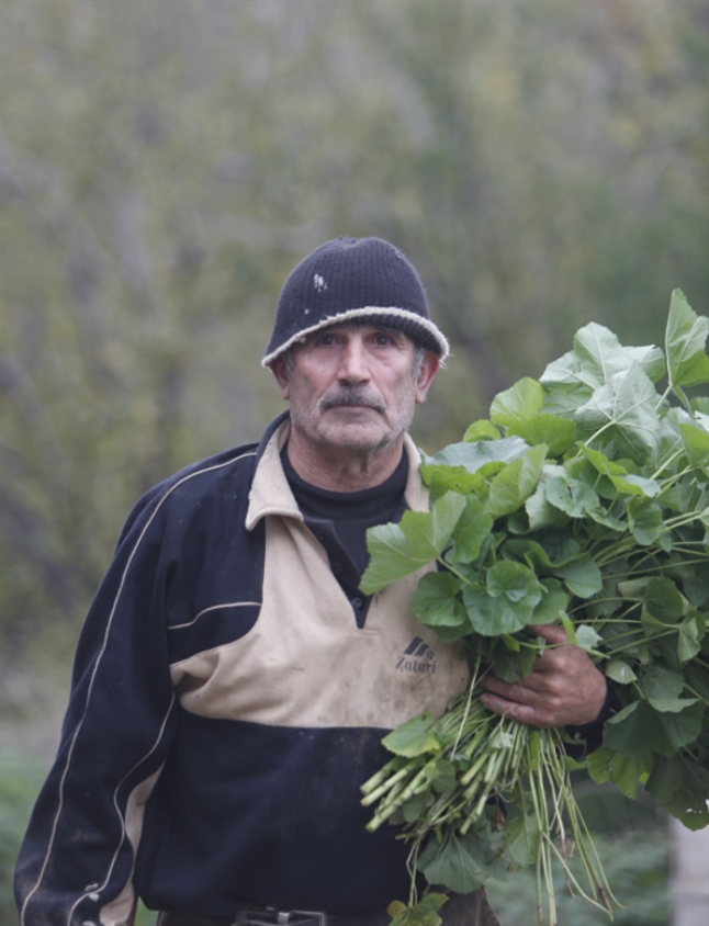 (هيثم الموسوي)