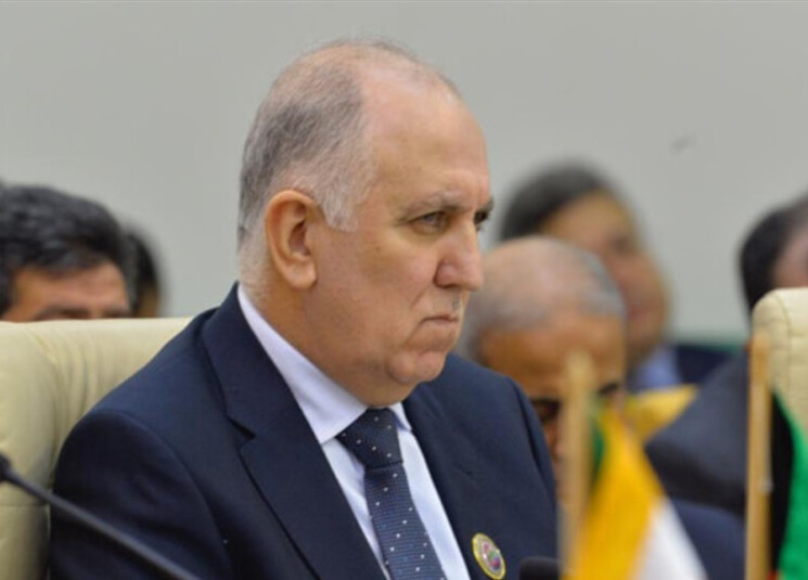 وزير الداخلية في حكومة تصريف الأعمال العميد محمد فهمي